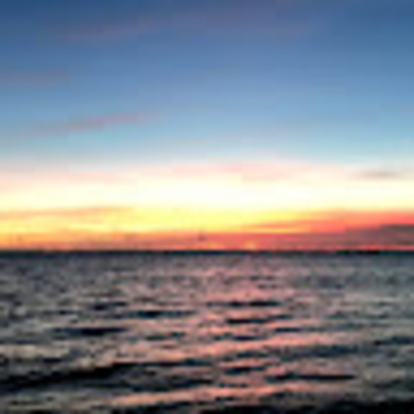 Meet your Posher, Pasta - Picture 1 of 1